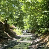 طبیعت گردی