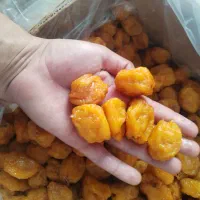 آلو حاج حسنی