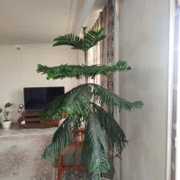 گل طبیعی