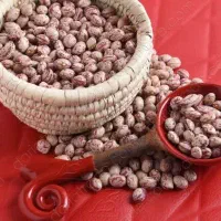 لوبیانخودلپه خوشپخت خوش طمع