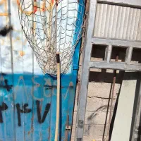 تور کبوتر