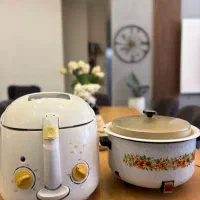 سرخ کن و یک آرام پر
