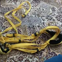 لوازم اسب