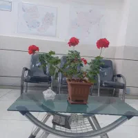 فروش 262 متر تجاری ومسکونی دو کله در میدان کشاورز