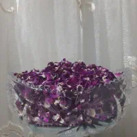 فروش پر گل محمدی