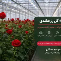 استخدام کارگر ساده آقا و خانم