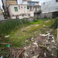 زمین-250متری-سند-تک-برگ-کوشش