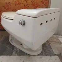 فرنگی