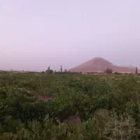 فروش باغ انگورسوزن