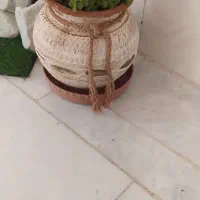 ۲عدد گلدان کراسولا