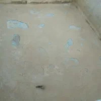 نانو استخر جهانگیری  توضیحات