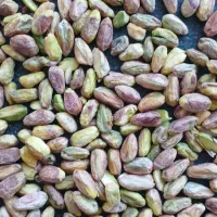 مغز پسته|خوردنی و آشامیدنی|اردکان, |دیوار