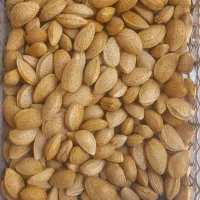 بادام درختی تازه تازه