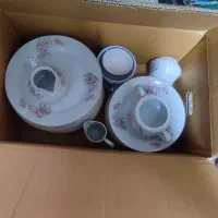ظروف پذیرایی