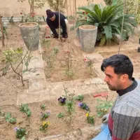 باغبانی سمپاشی پردیس رودهن مهرآباددماوندسراسرپردیس