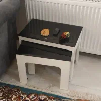 فرش ۹ متری یک جفت سالم در مامونیه