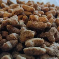 غذای گربه جوسرا آلمانی