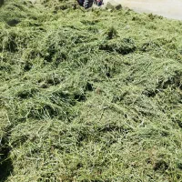 خرید فروش محصولات کشاورزی