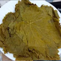 برگ مو برگ انگور کیلویی برای پخت دلمه