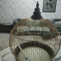 قفس پرنده بسیار زیبا