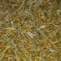 دانه خشه و یونجه محلی