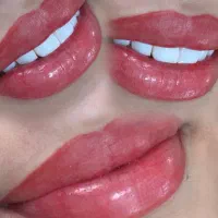 فیبروز . میکرو. شیدلب، قاب سایه