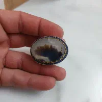 انگشتر شجر قاعن درشت