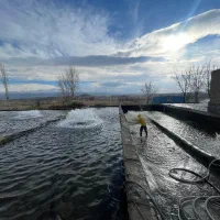 استخدام کارگر پرورش ماهی