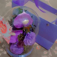 تعداددی قلیون