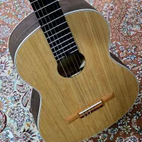 گیتار guitar