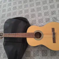 گیتار نو نو فروشی