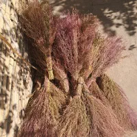 جارو دستی