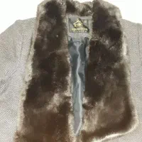 پالتو|لباس|خوی, |دیوار