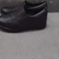 کفش اسپرت ۴۱ و مجلسی  ۴۰ زنانه