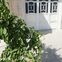 منزل مبله میدان فرصت شیرازی ( ساعتی نداریم)