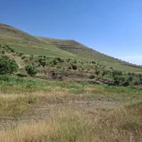 زمین و باغ استخر دار نزدیک قزوین (فروش فوری)