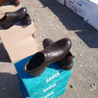 کفش اسپرت
