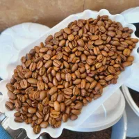 قهوه|عمدهفروشی|رشت, پیرسرا|دیوار