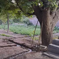 2000-هزار-متر-طرح-هادی-سوران