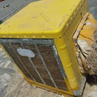 کولر ابی