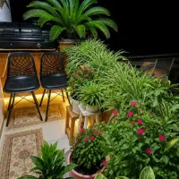 مهرشهر۱۰۰متر تخلیه۸واحدی امکانات کامل میلادها