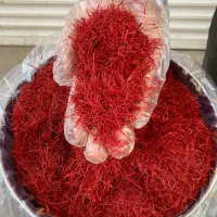 سوپر نگین زعفران و زعفران دختر پیچ