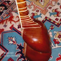 تار|سازهای سنتی|دوگنبدان, |دیوار