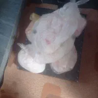 چربی گوسفندی