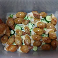 حلزون آلبینو
