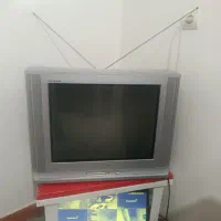 تلویزیون