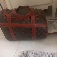 کیف حمل سگ و گربه