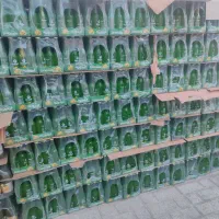 لیمونادشیشه زمزم
