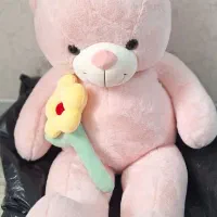 خرس بزرگ