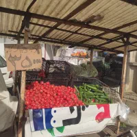 گاری چرخدار قیمت درج شده تافردا